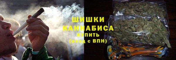 меф Ельня