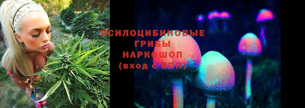 меф Ельня