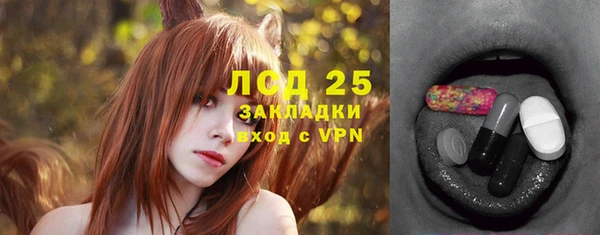 меф Ельня