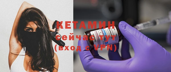 меф Ельня