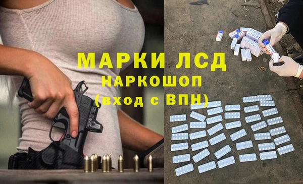 меф Ельня